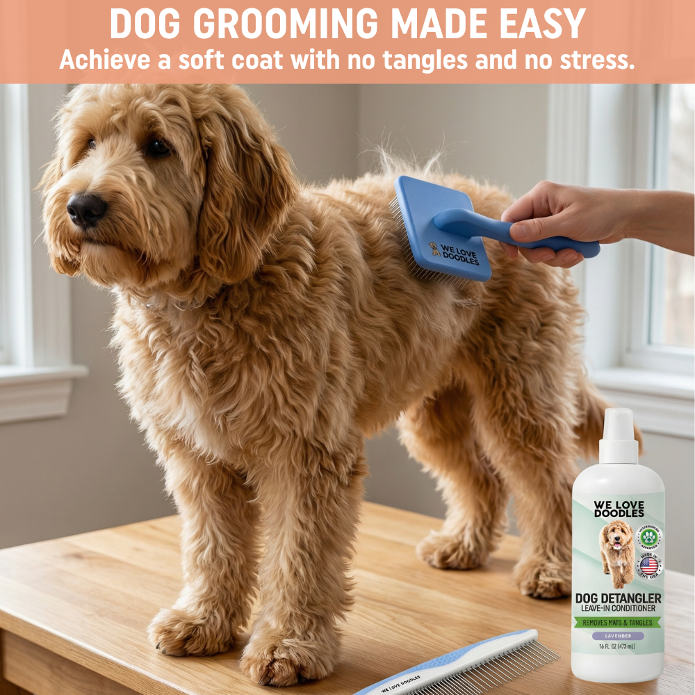 Unscented Grooming Starter Pack (Brush, Combs & Detangler)