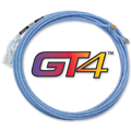 GT4 TRUE 30’  MS