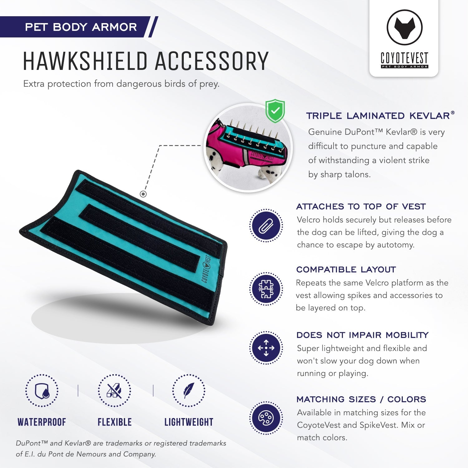 HawkShield - PhishStones Products