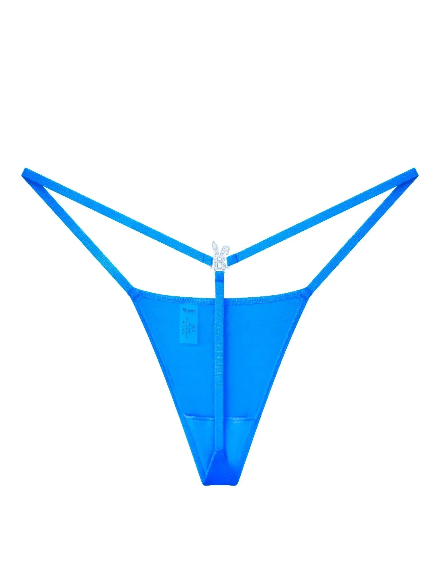 ICED OUT G - STRING IN OCEAN BLUE - PhishStones Products