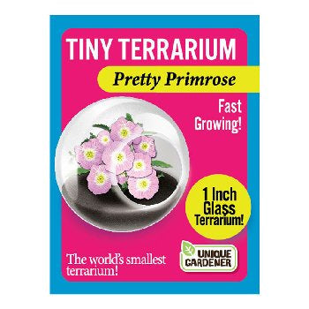 Tiny Terrarium Flower