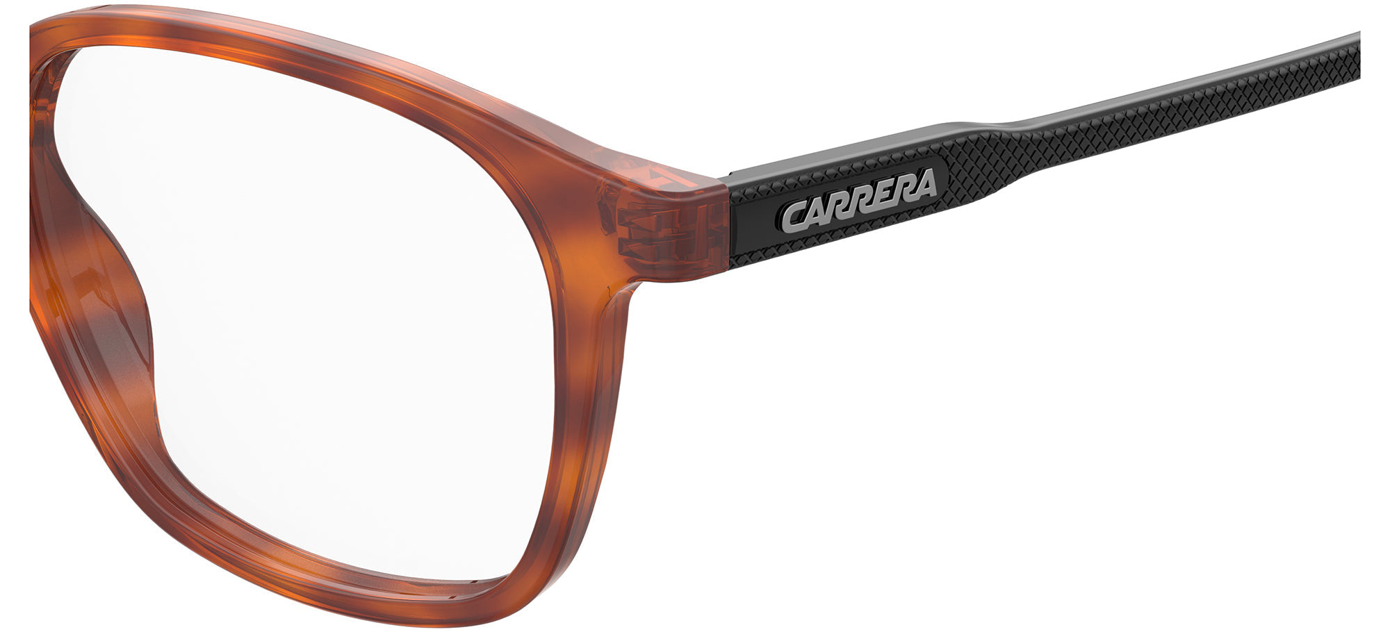 CARRERA 244