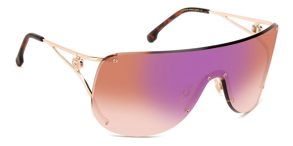 CARRERA 3006/S