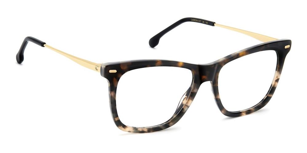 CARRERA 3077
