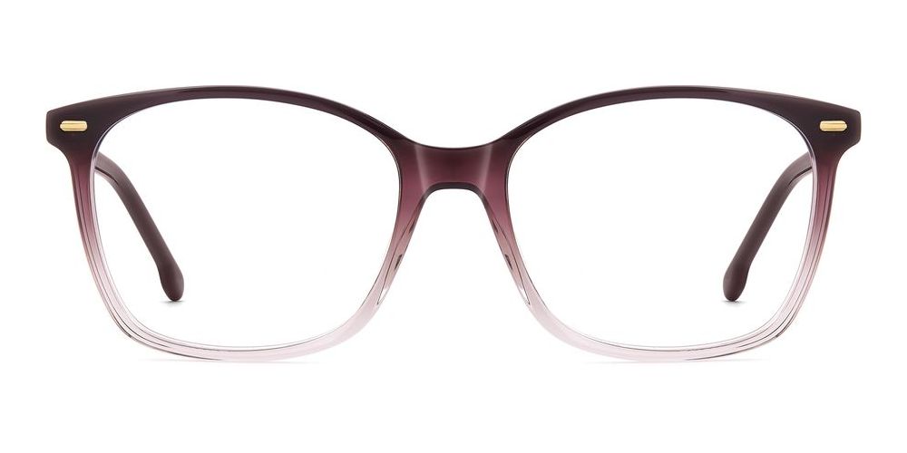 CARRERA 3091