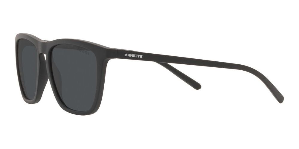 FRY AN 4301