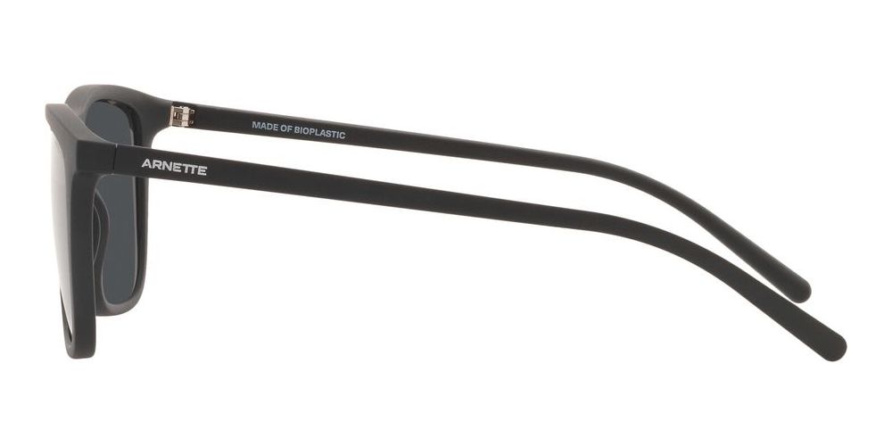 FRY AN 4301