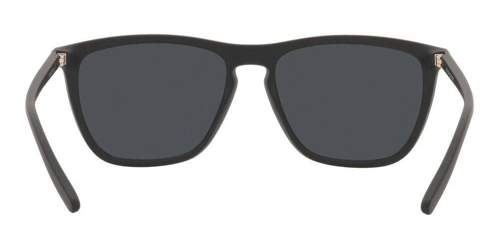FRY AN 4301