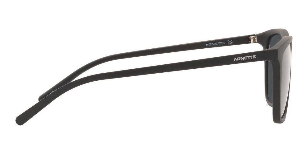 FRY AN 4301