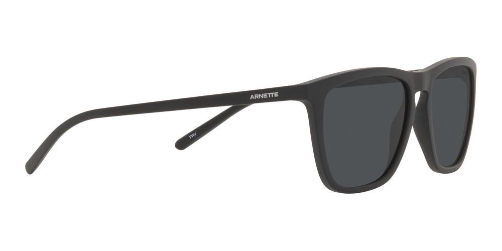 FRY AN 4301