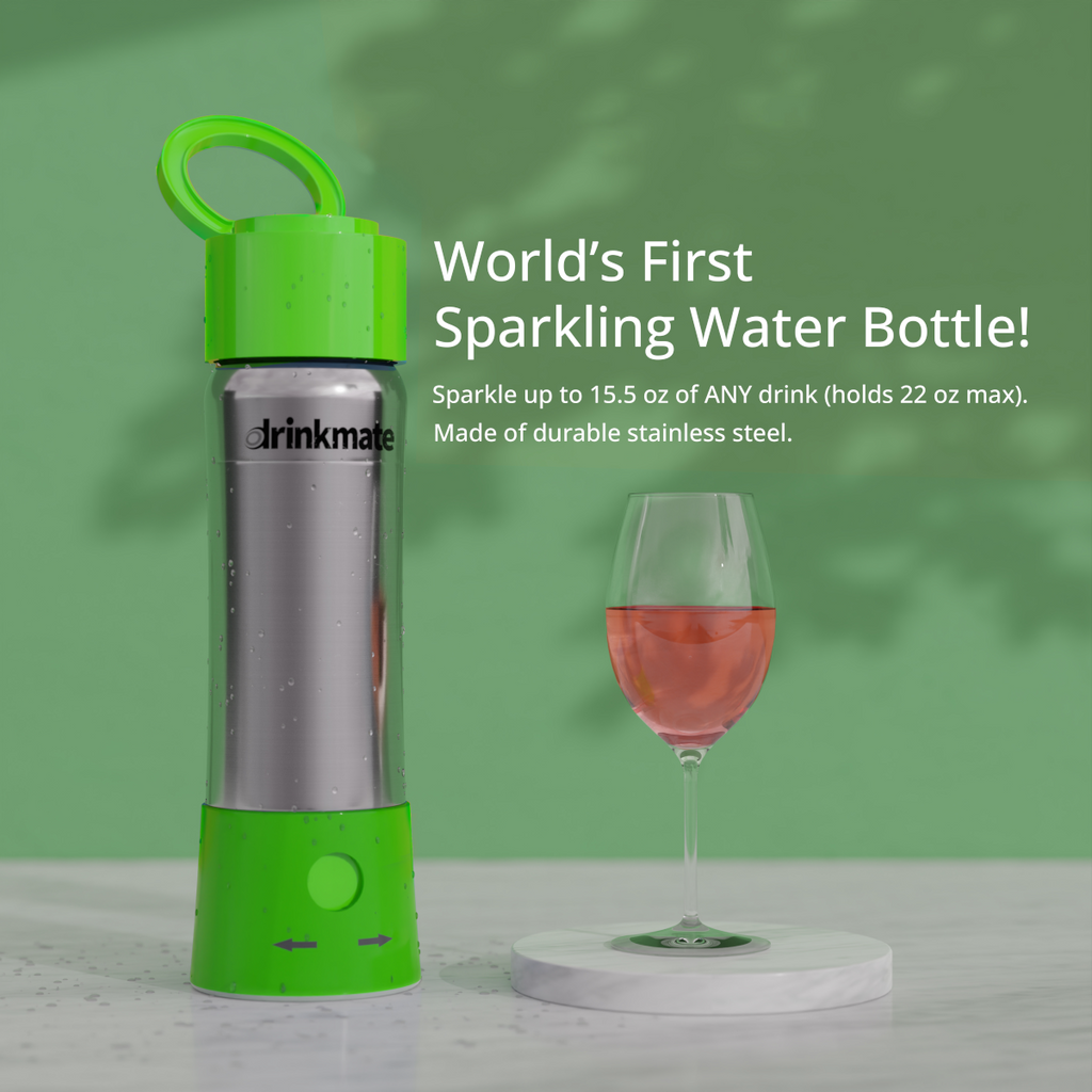 instaFizz Stainless Steel Carbonation Bottle Bundle with 10x 8g CO2 Cartridges and Silicone Sleeve