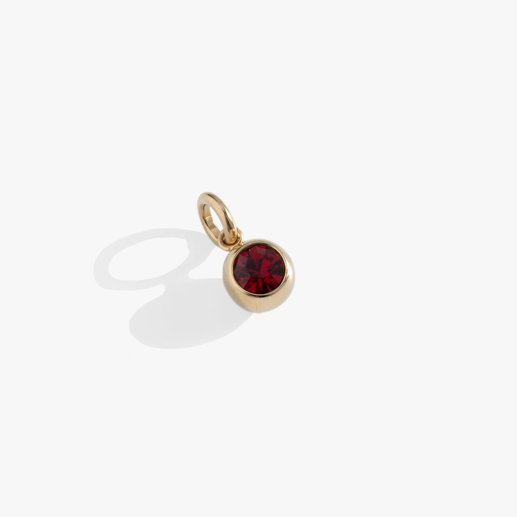 January Birthstone Interchangeable Charm