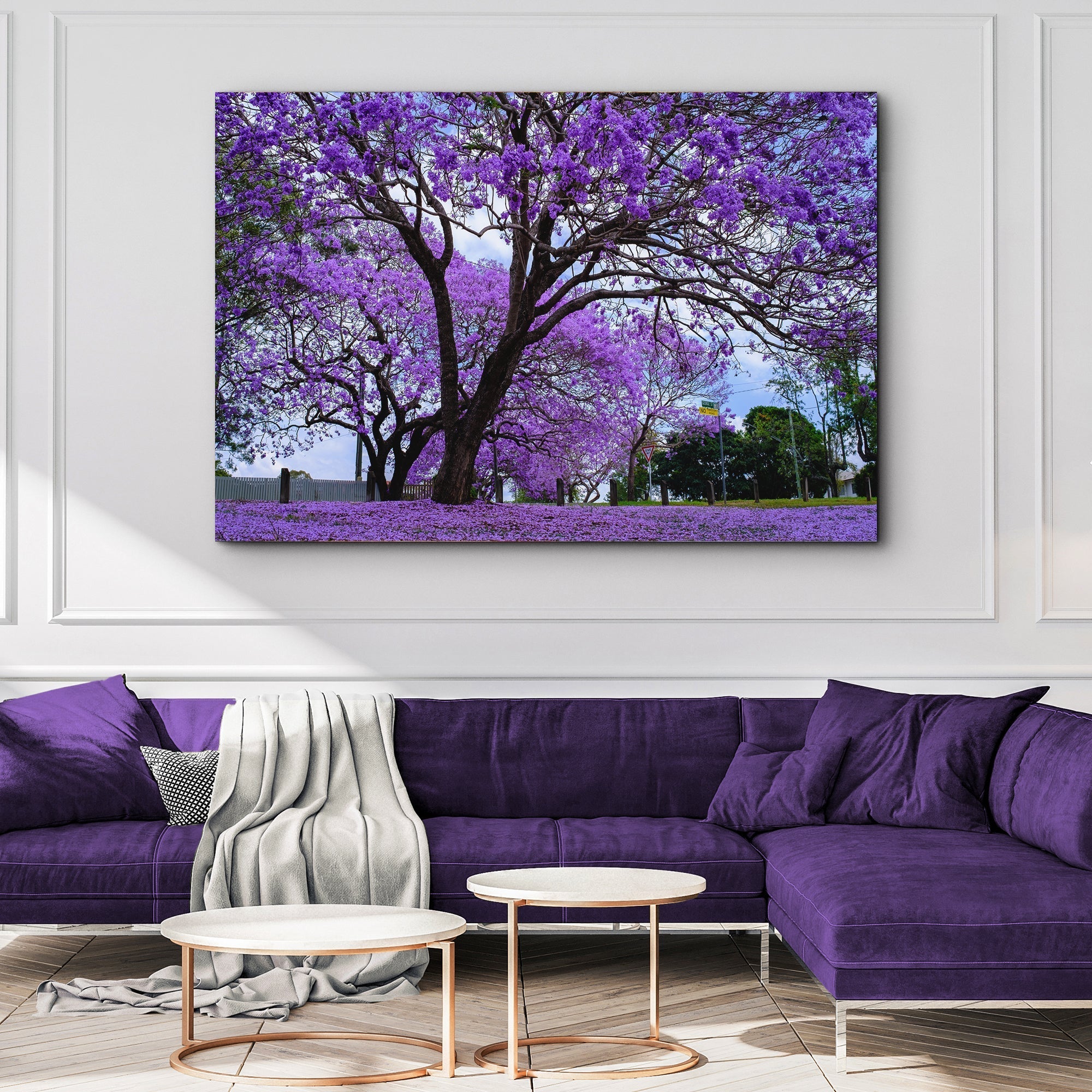 Jacaranda Trees Canvas Wall Art - PhishStones Products