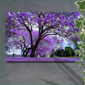 Jacaranda Trees Canvas Wall Art - PhishStones Products