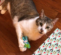 Kitty Bat About Cat Toys with Rattles