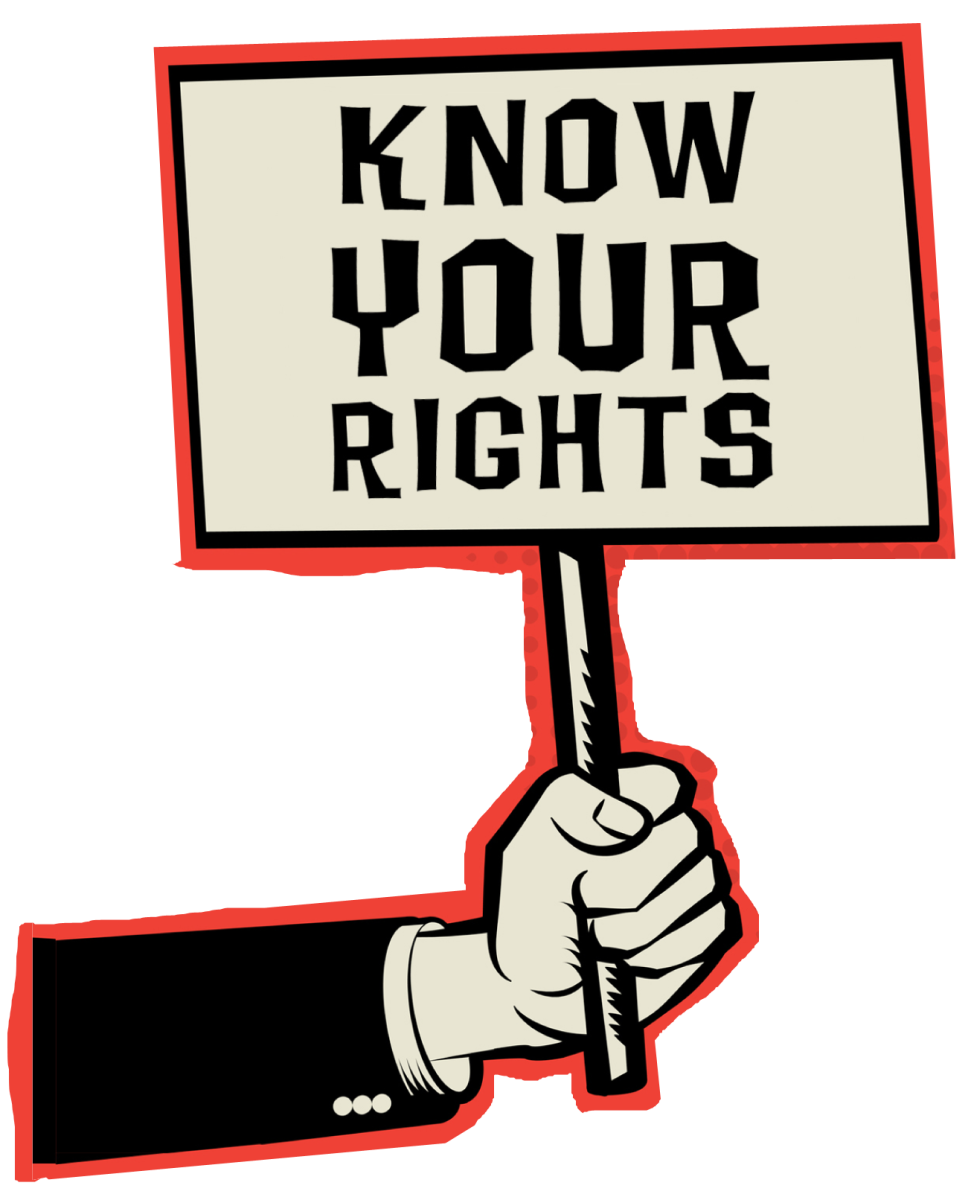 Know Your Rights (Die Cut Sticker)