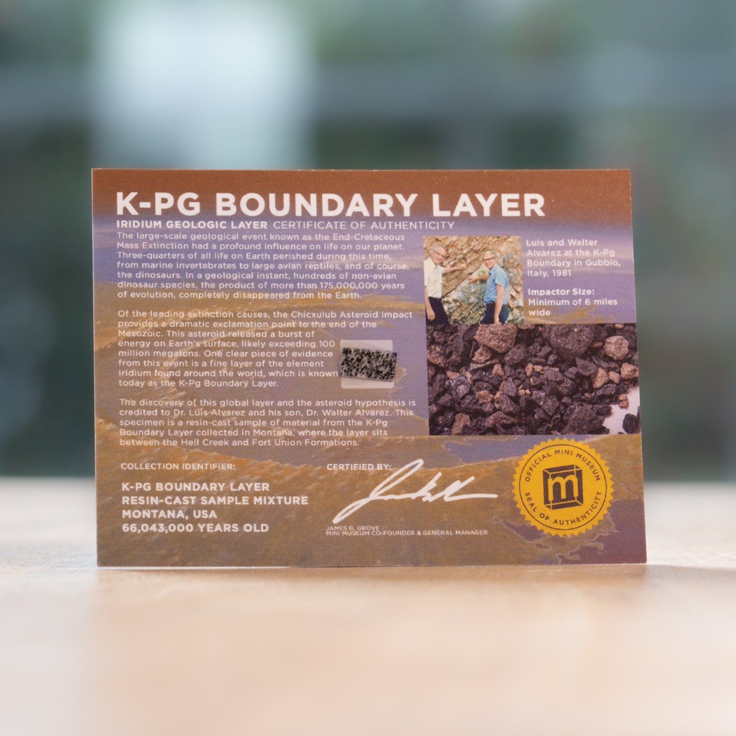 K-Pg Boundary Layer - Death of the Dinosaurs - Display Card