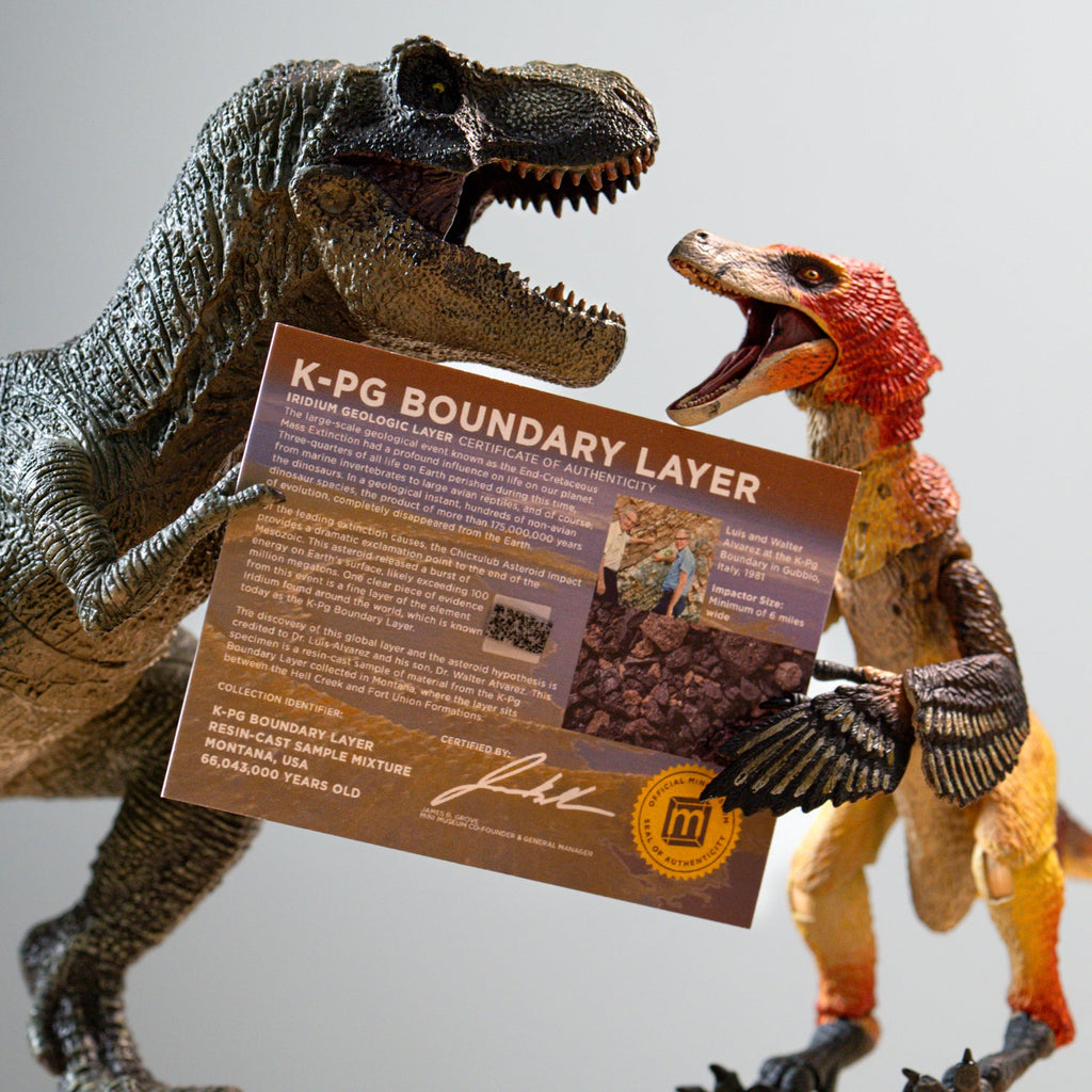 K-Pg Boundary Layer - Death of the Dinosaurs - Display Card