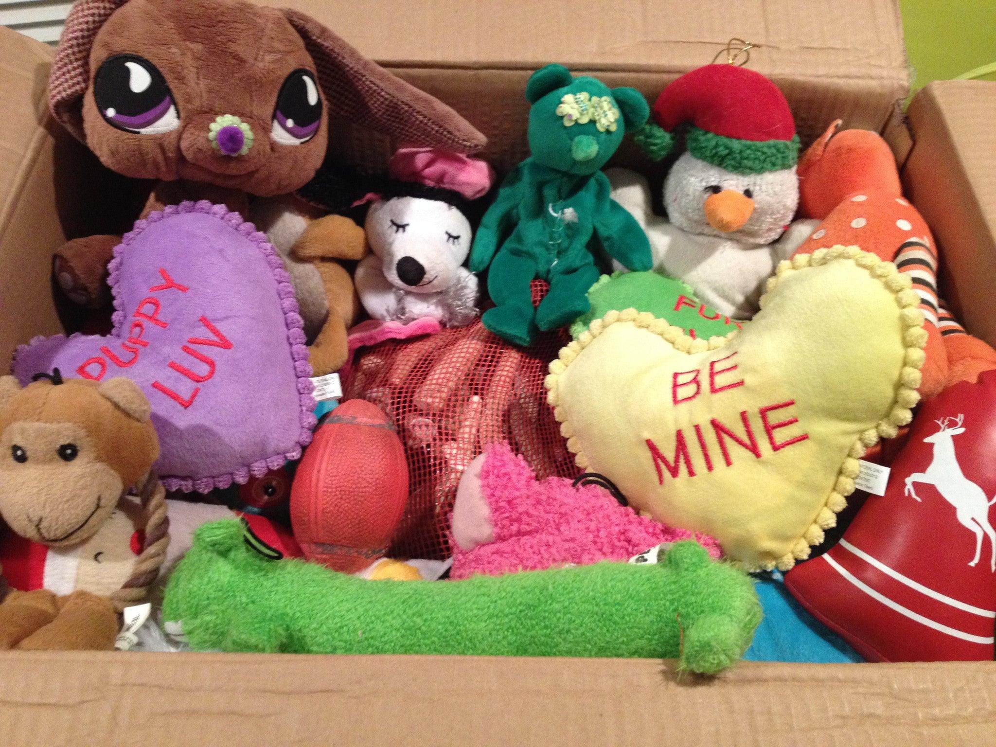 LARGE Hearts, Love & Candy Dog Toys Squeak & NO Squeak