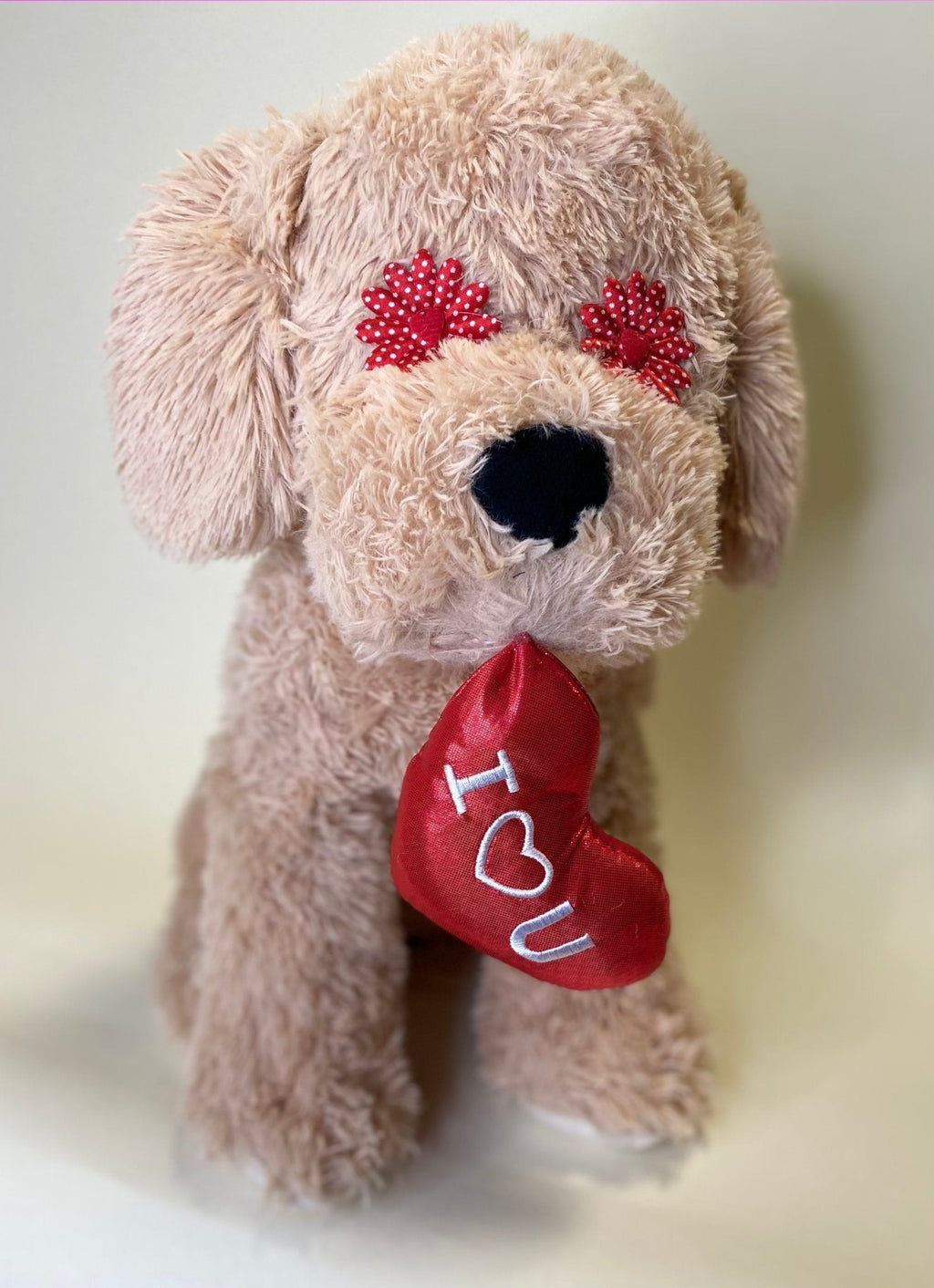 LARGE Hearts, Love & Candy Dog Toys Squeak & NO Squeak