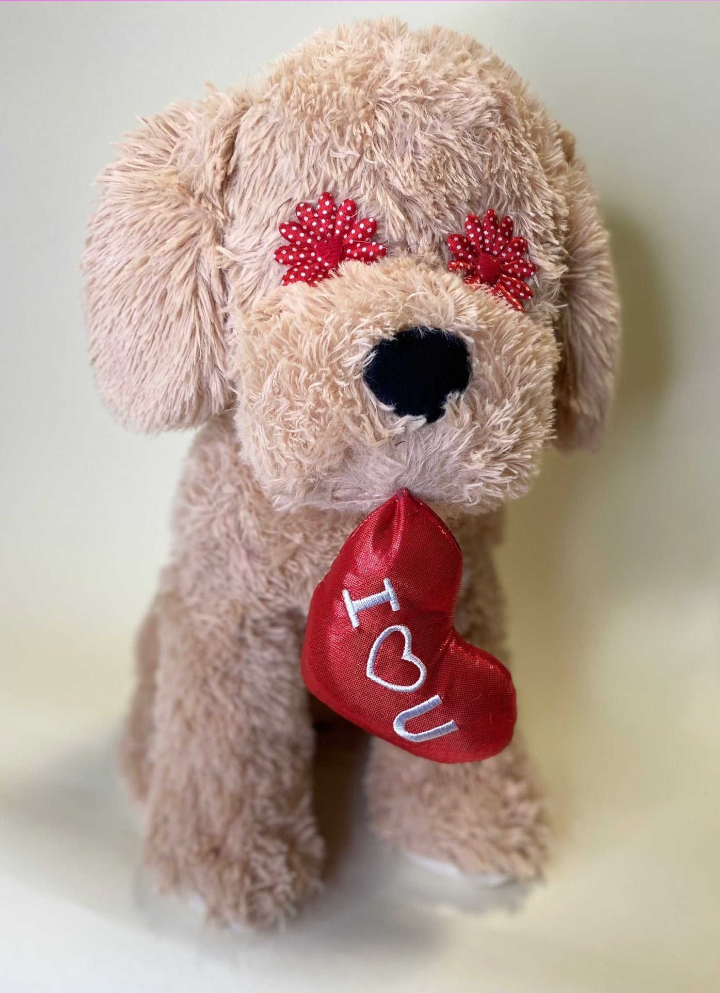 LARGE Hearts, Love & Candy Dog Toys Squeak & NO Squeak