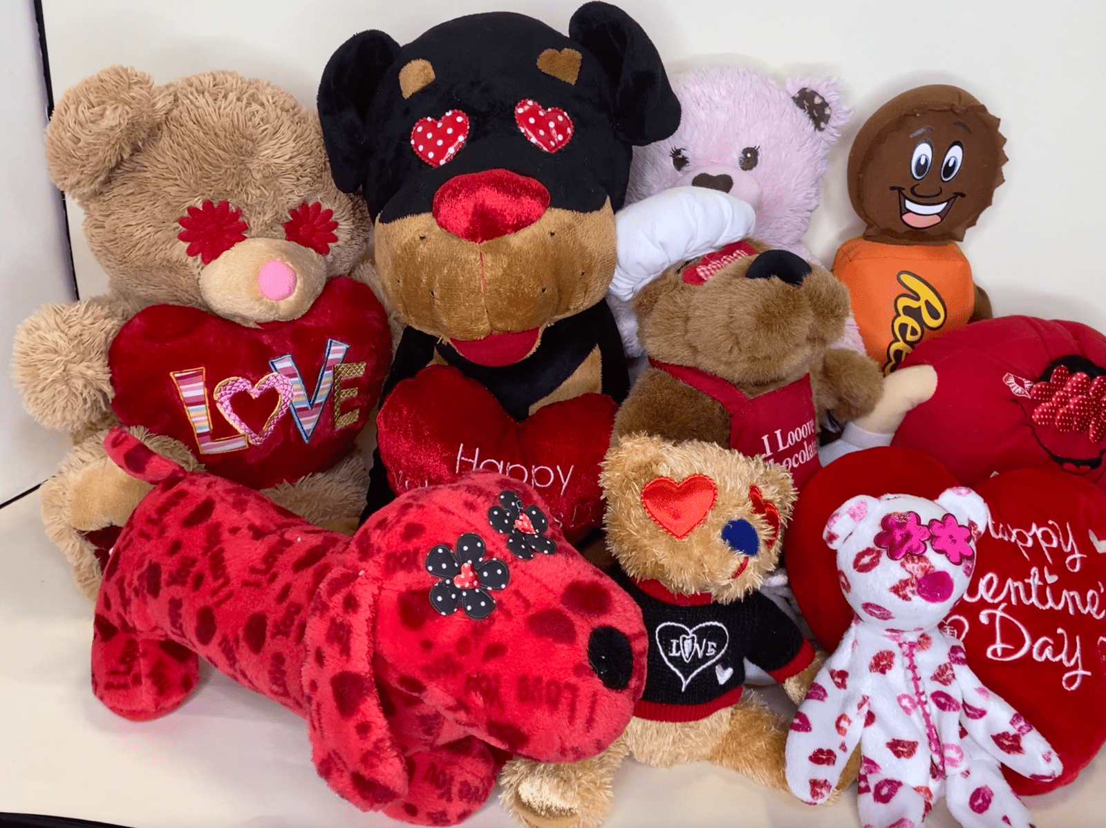 LARGE Hearts, Love & Candy Dog Toys Squeak & NO Squeak