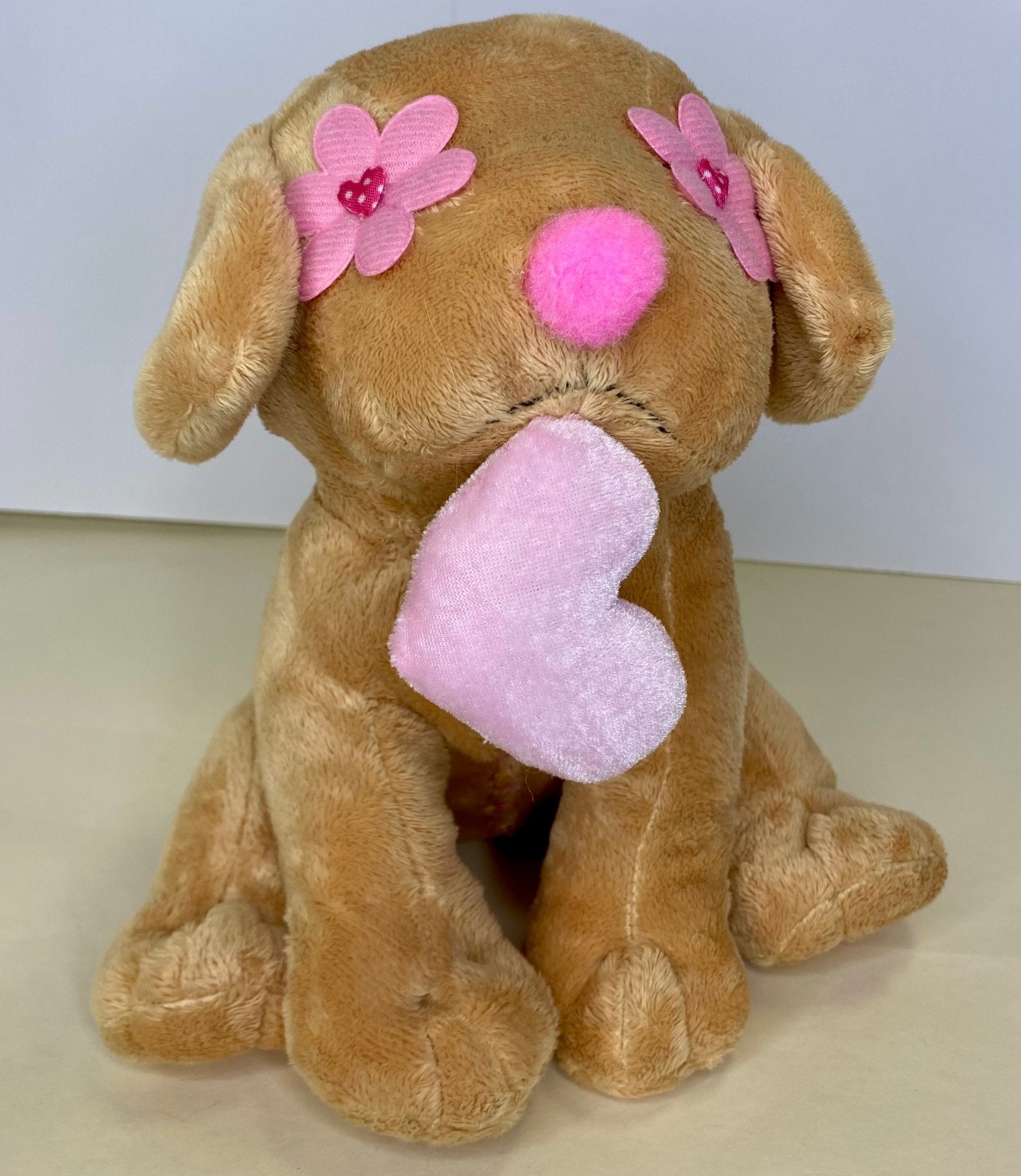 LARGE Hearts, Love & Candy Dog Toys Squeak & NO Squeak