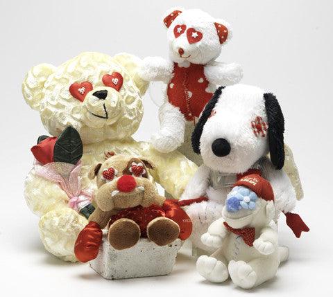 LARGE Hearts, Love & Candy Dog Toys Squeak & NO Squeak