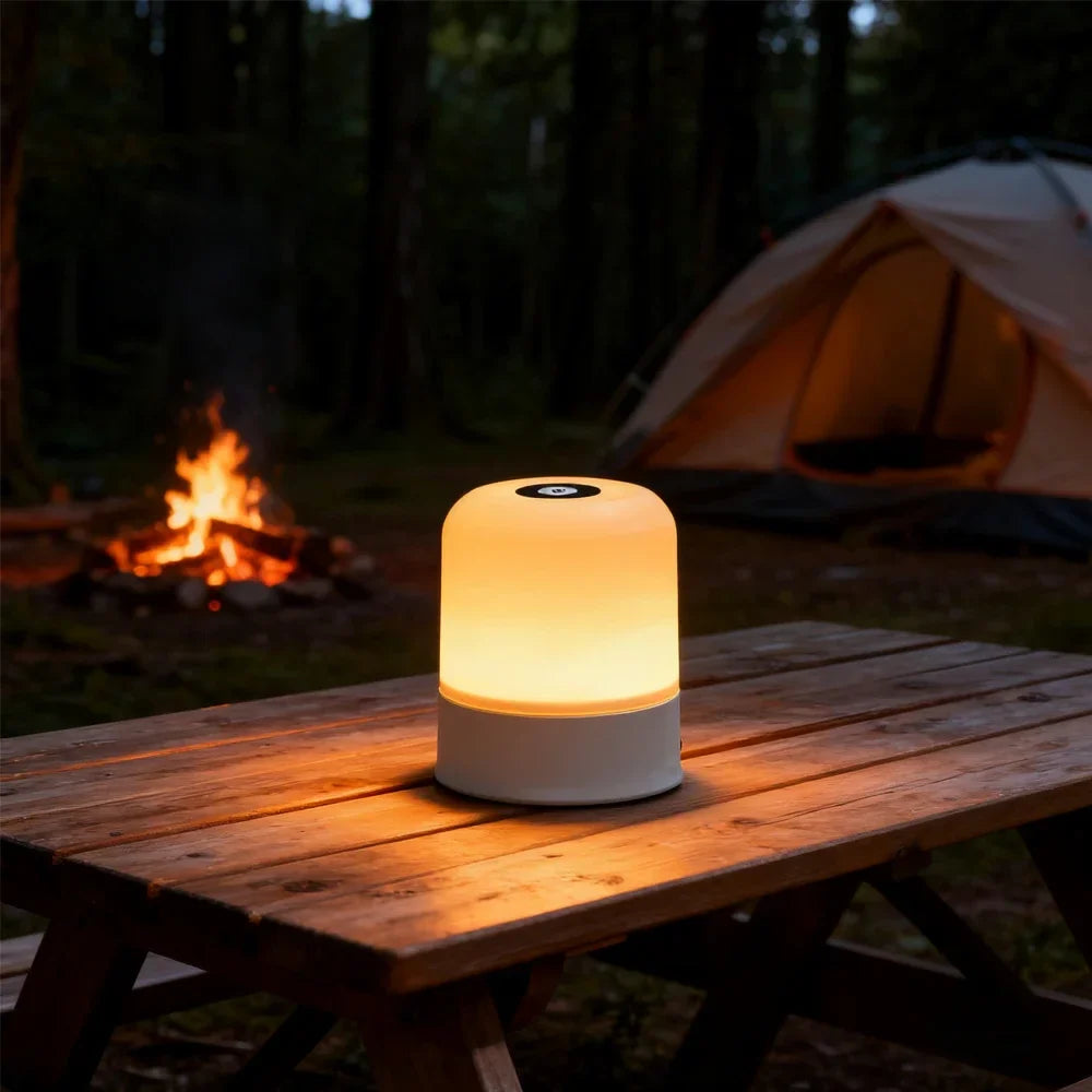 LED Dimmable Night Light Rechargeable and Plug - in Touch RGB Bedside Desk Lamp - PhishStones Products