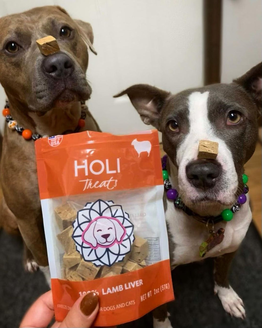 Lamb Liver Dog Treats - Freeze Dried - Single Ingredient