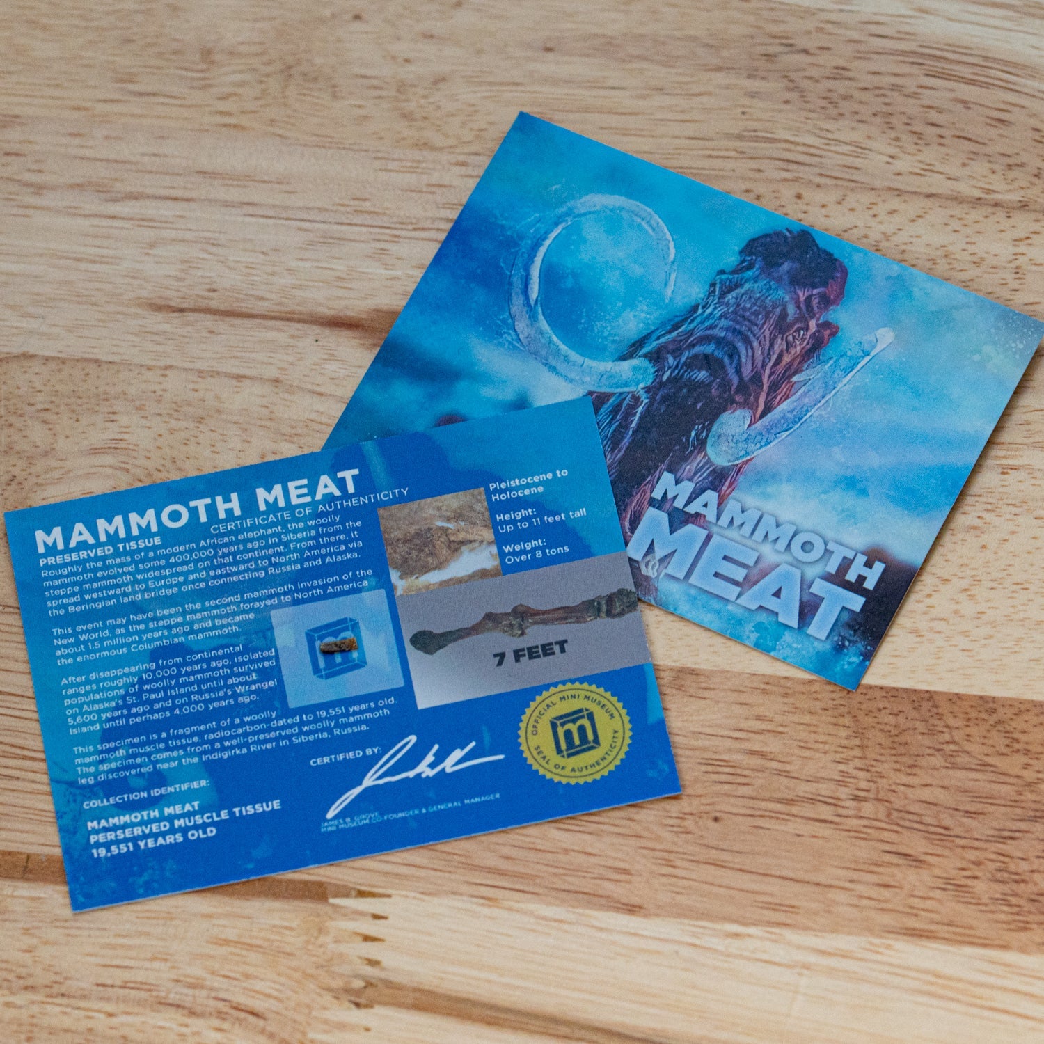 Mammoth Meat - Display Card