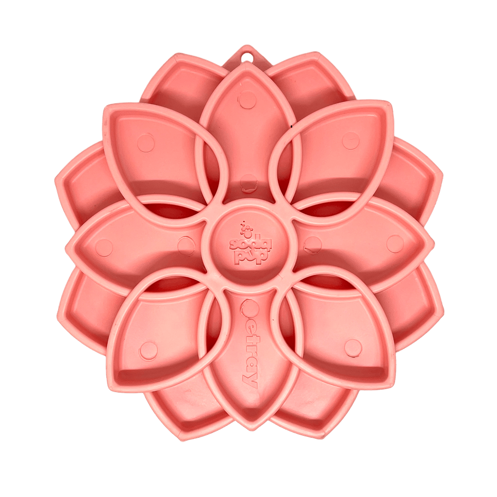 Mandala Softie eTray Shallow Slow Feeder Dog Bowl with Suction Cups | USA Made - PhishStones Products