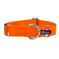 5/8″ and 1″ Neon Orange Nylon Martingale Dog Collar