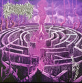 Civerous - Maze Envy (PURPLE MAGENTA MERGE VINYL) | Mint (M) Mint (M)