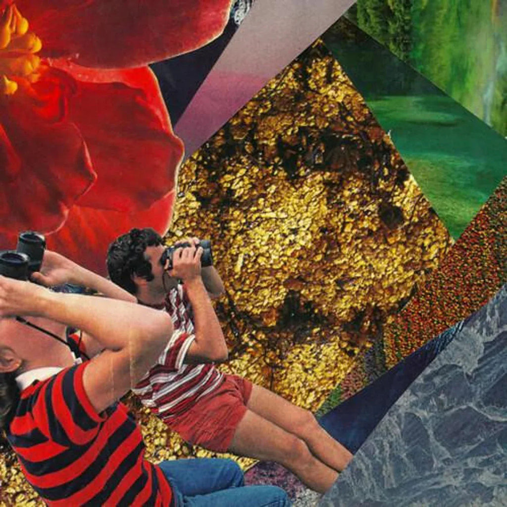 Mndsgn - Nomaps (LP) - PhishStones Products