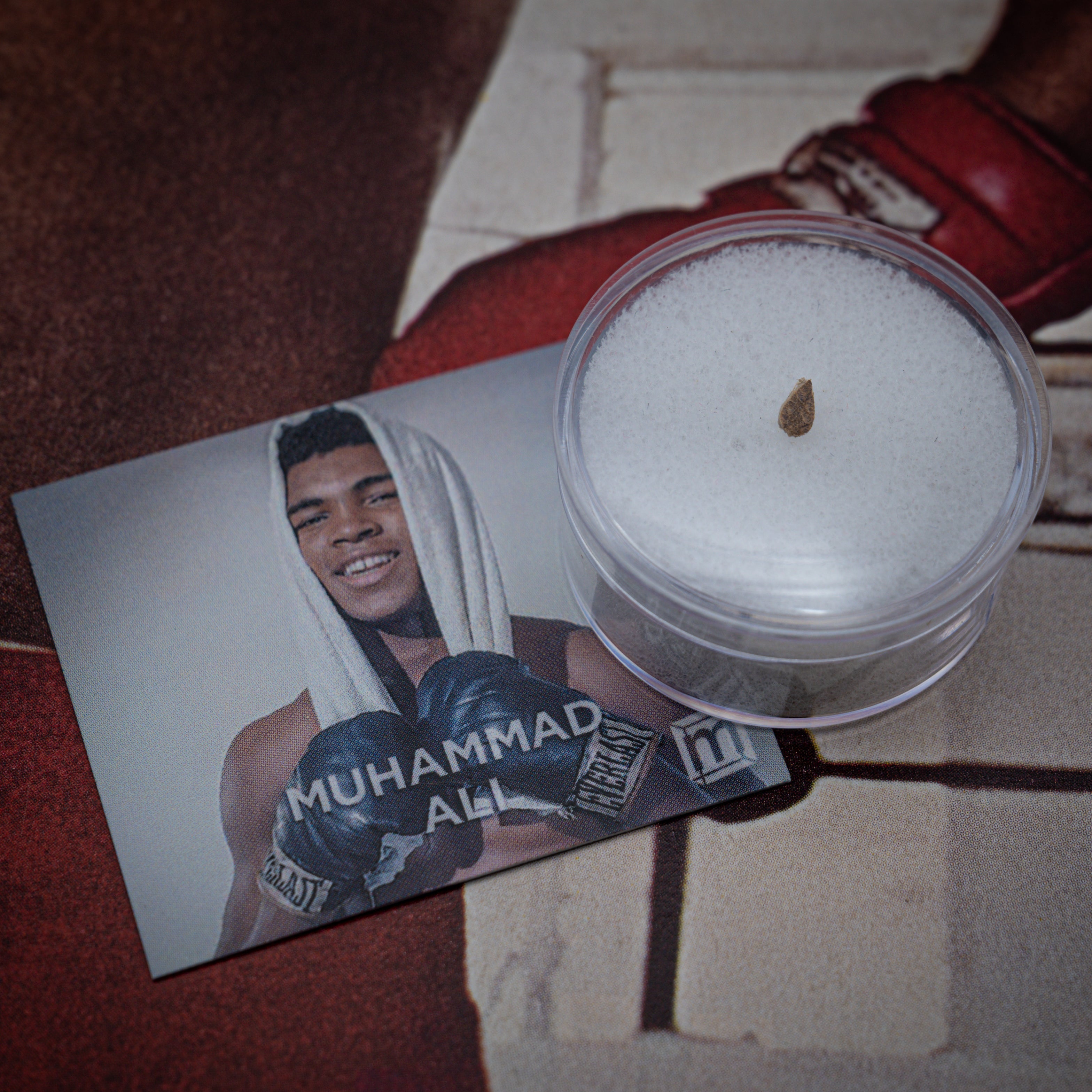 Muhammad Ali Punching Bag