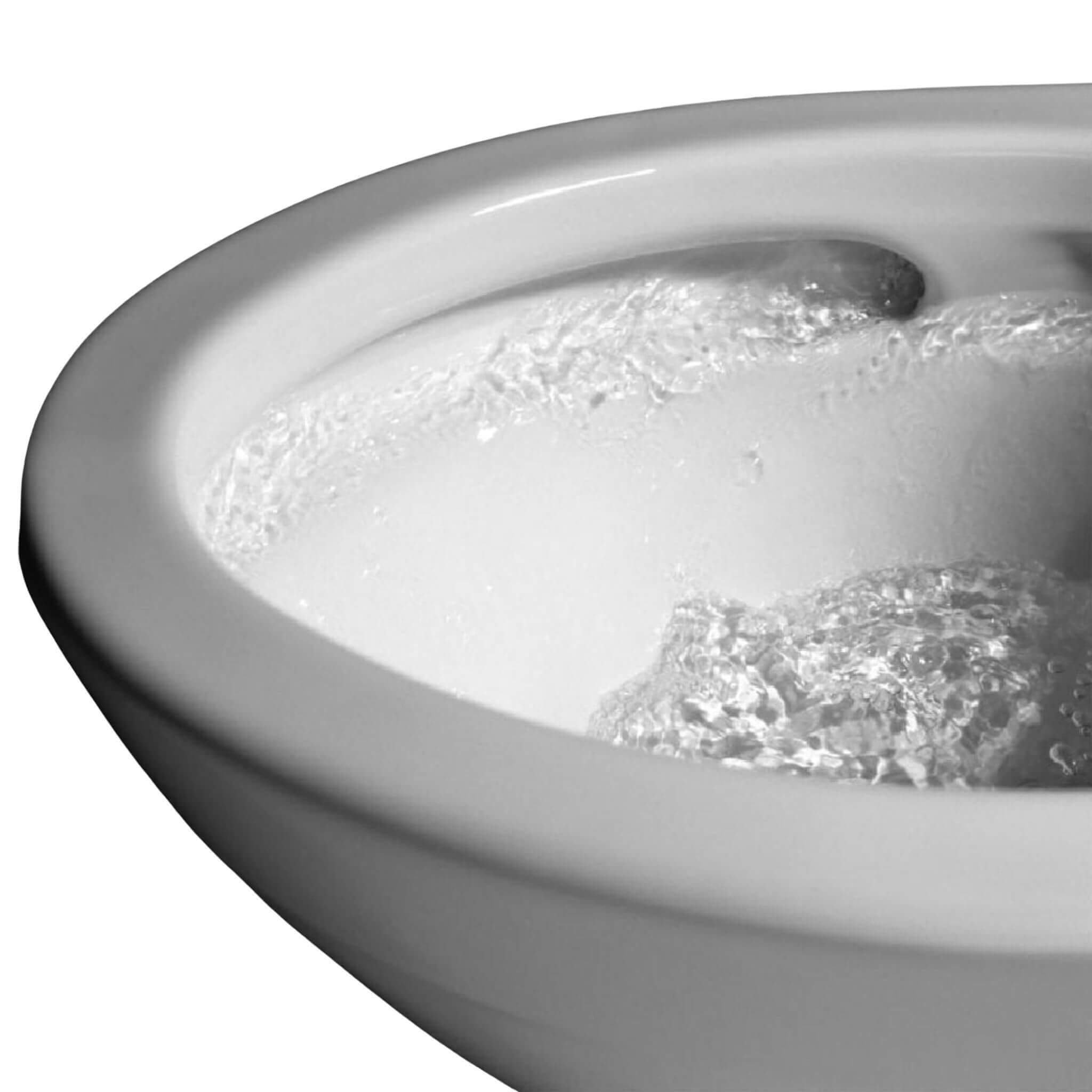 [MW4743074CEFG#01] TOTO Vespin II Washlet C2 With 1.28 GPF Elongated Bidet Toilet (SAK38540)