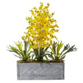 Dancing Lady and Staghorn in Stone Planter
