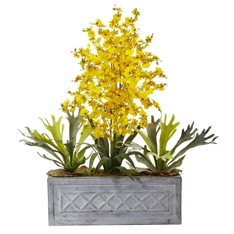 Dancing Lady and Staghorn in Stone Planter