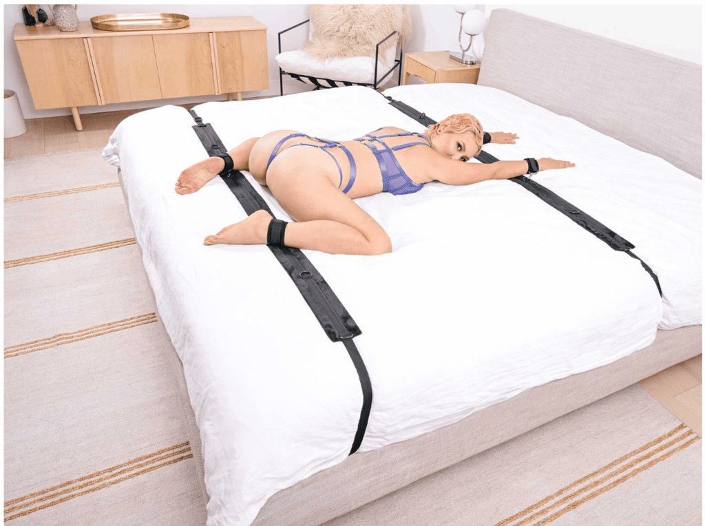 No Matter Where Restraint System