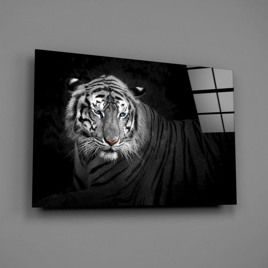 Reclining Blue Eyed Tiger Glass Wall Art