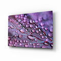Violet Dew Drops On Leaf Glass Wall Art