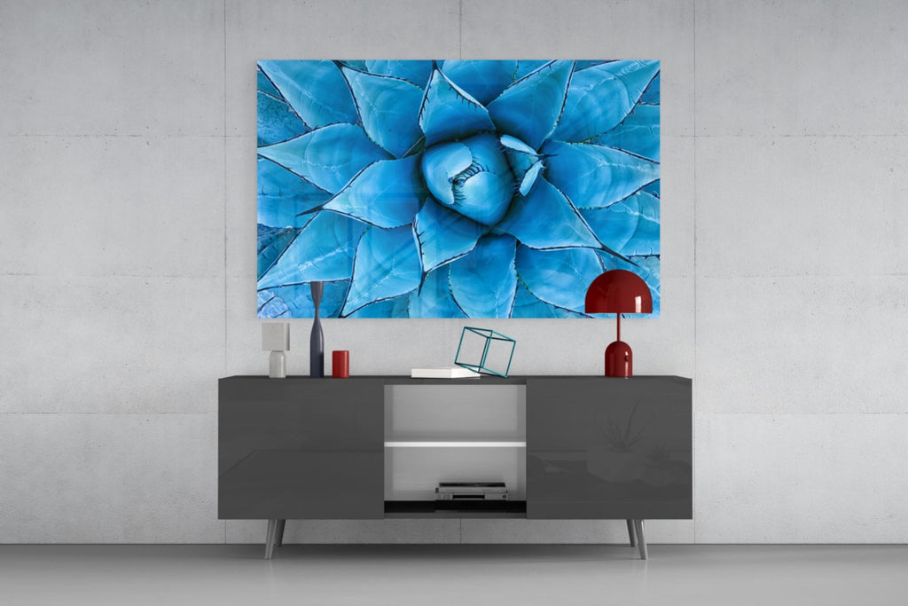 Blue Agave Succulent Rosette Glass Wall Art