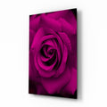 Magenta Velvet Rose Glass Wall Art
