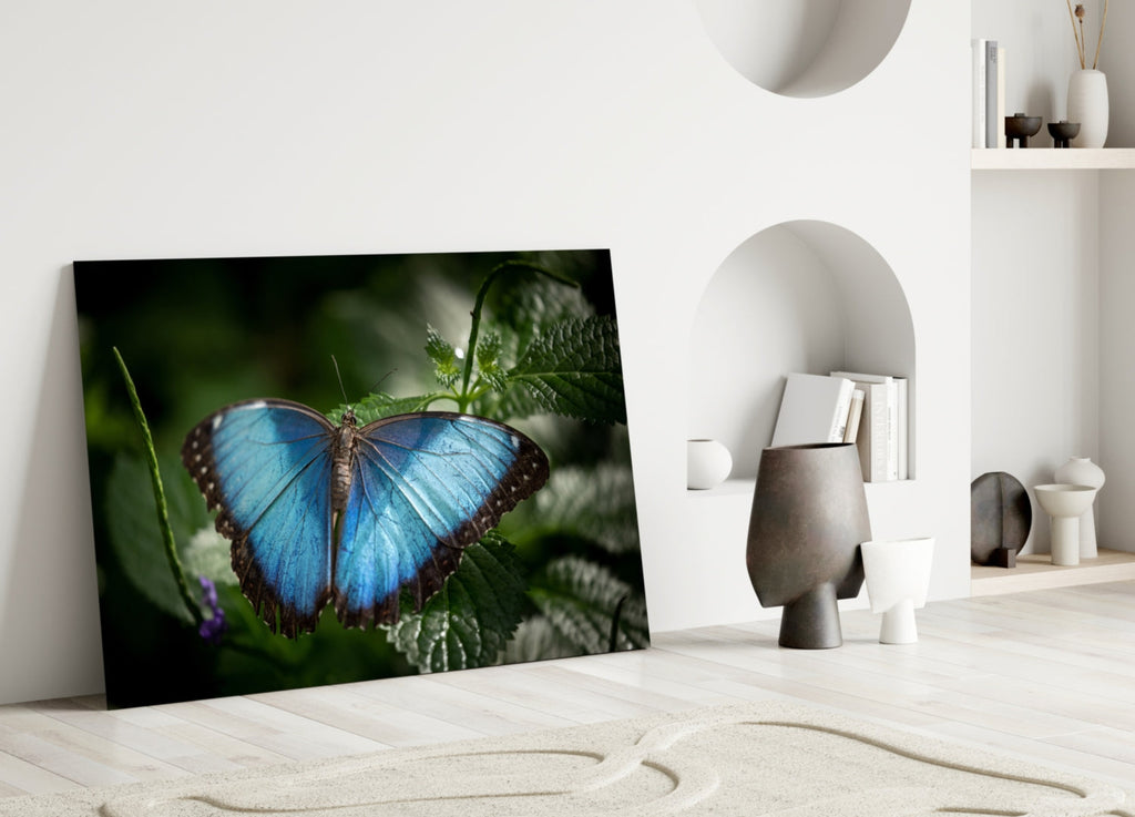 Blue Morpho on Leaves Butterfly Glass Wall Art