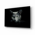 Green Eyed Blue Cat Dark Glass Wall Art