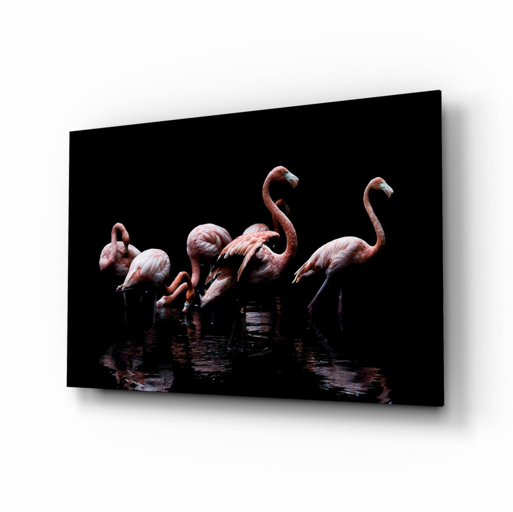 Black Background Wading Flamingos Glass Wall Art