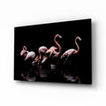 Black Background Wading Flamingos Glass Wall Art
