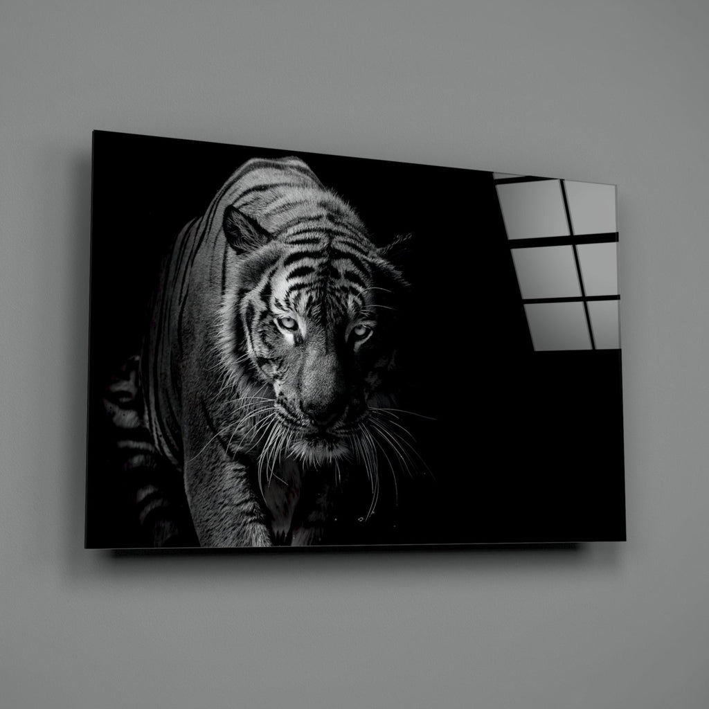 Tiger Emerging From Shadow Glass Wall Art