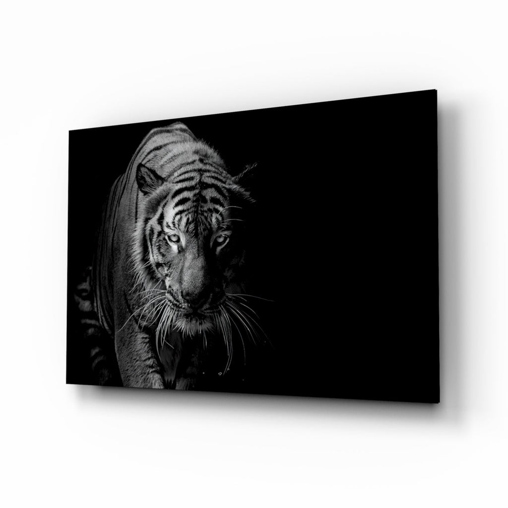 Tiger Emerging From Shadow Glass Wall Art